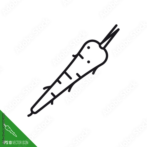 Parsnip root vegetableline icon vector illustration