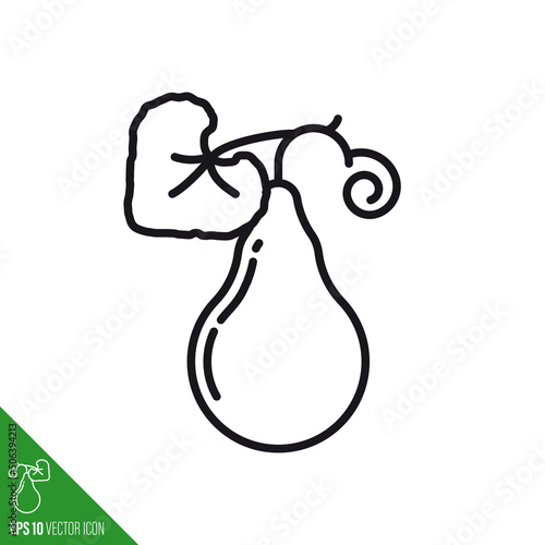 Calabash gourd line icon vector illustration