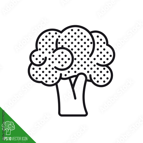 Broccoli cabbageline icon vector illustration