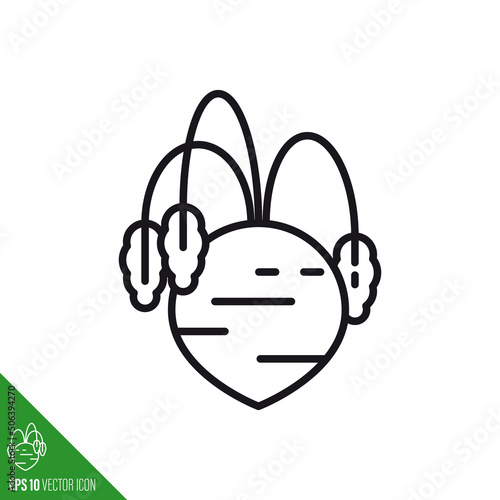 Beetroot line icon vector illustration