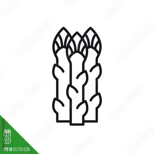 White Asparagus shootsline icon vector illustration
