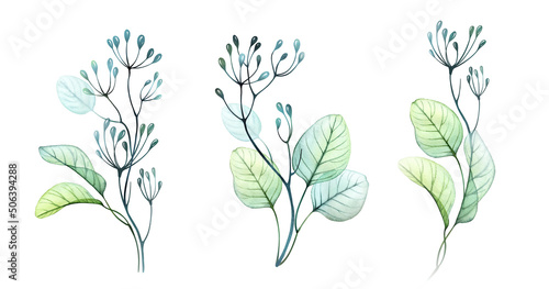 Watercolor branches and berries set. Collection of hand painted botanical illustrations isolated on white. Abstract Transparent vertical bouquets in green and turquoise
