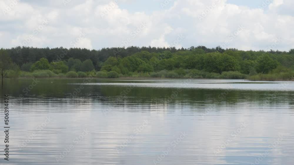 spring on the forest river young greenery over the water 2022 spring on the forest river young greenery over the water 2022