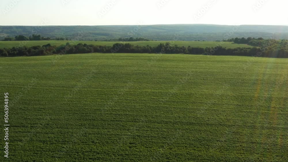 Panoramic aerial view of agricultural area and green fields in sunny day Panoramic aerial view of agricultural area and green fields in sunny day