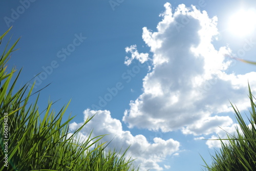稲と空