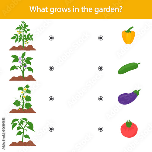 Matching children educational game. What grows in the garden Activity for preschool years kids and toddlers.