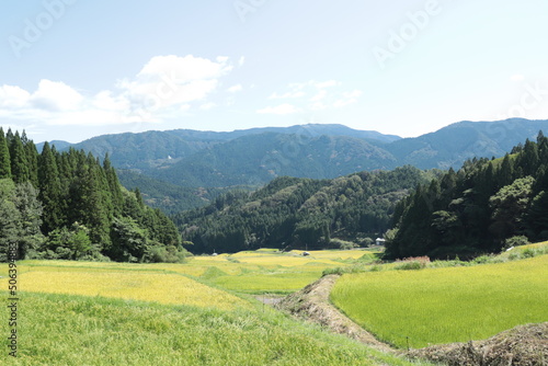 田舎の風景