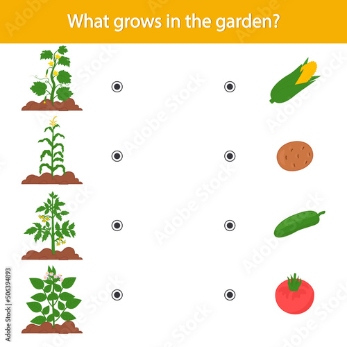 Matching children educational game. What grows in the garden Activity for preschool years kids and toddlers.