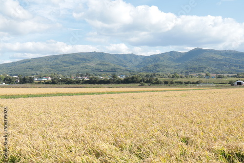 田園風景