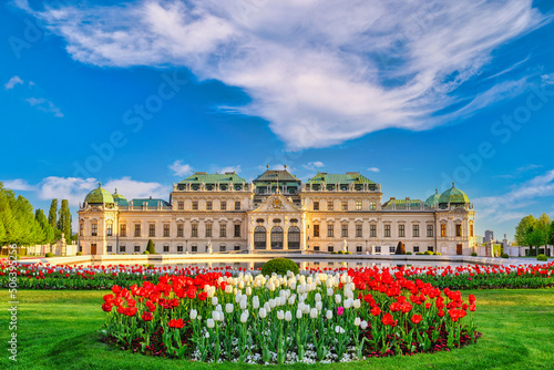Vienna Austria city skyline at Belvedere Palace and beautiful tulip flower photo