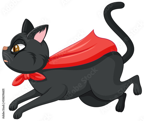 A hero cat on white background