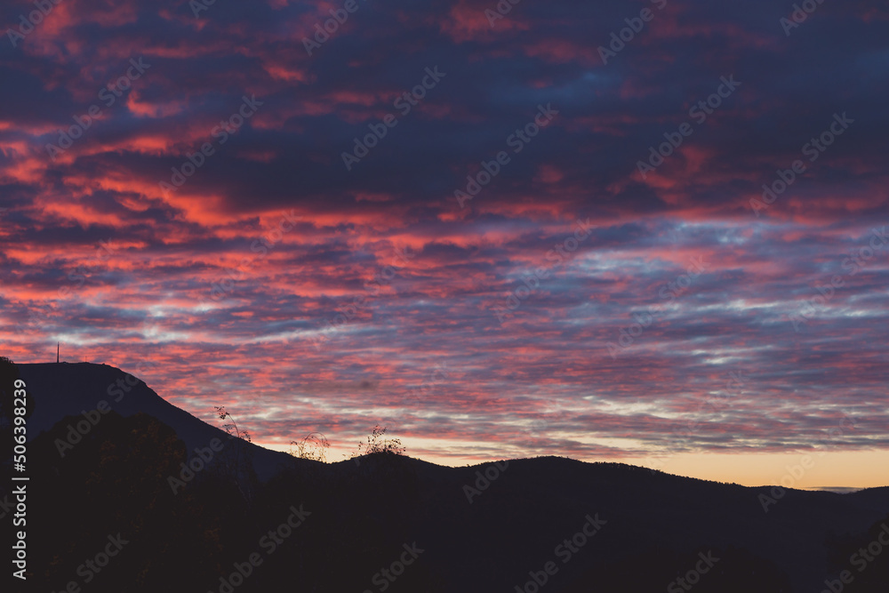 majestic pink sunset over the mountains with eucalyptus gum trees silhouettes shot in Tasmania majestic pink sunset over the mountains with eucalyptus gum trees silhouettes shot in Tasmania