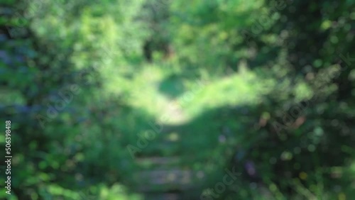 Blurred background with old overgrown empty railway. Blurry train tracks through green summer forest