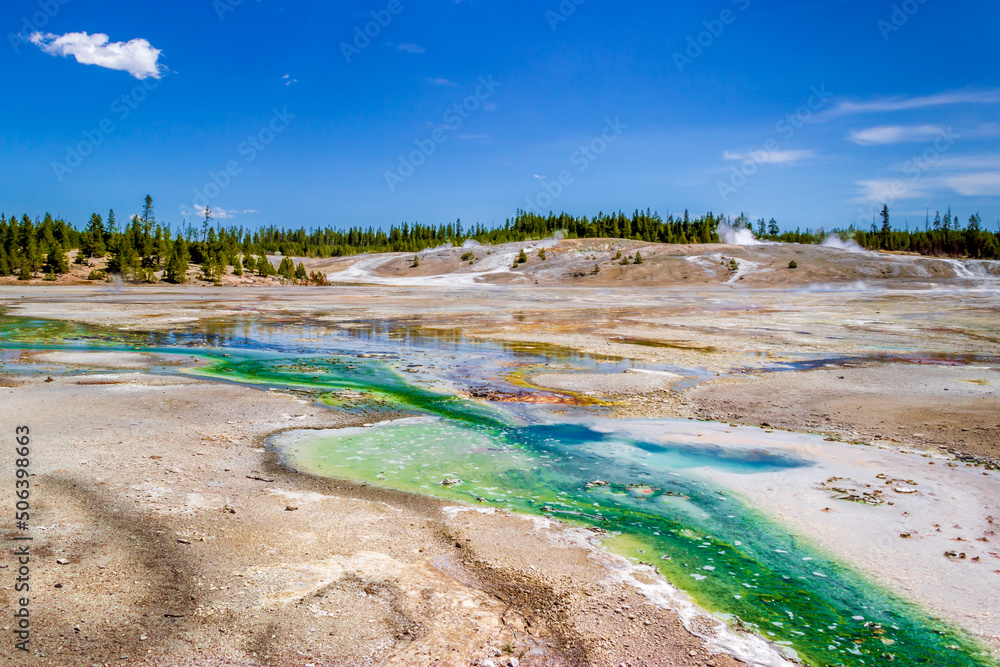 Hot streams of algae colored waters crossing the landscape of the Norris Geyser Basin in the Yellowstone National Park Hot streams of algae colored waters crossing the landscape of the Norris Geyser Basin in the Yellowstone National Park