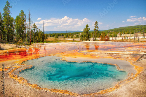 Fototapeta Geysers with colorful algae in the landscape around Firehole Lake in the Yellows