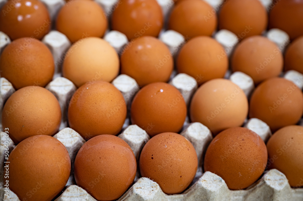 chicken egg in a cell chicken egg in a cell