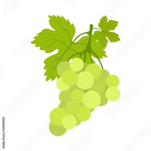 Grapes icon. Colorful fruits on a white background. Illustration. 