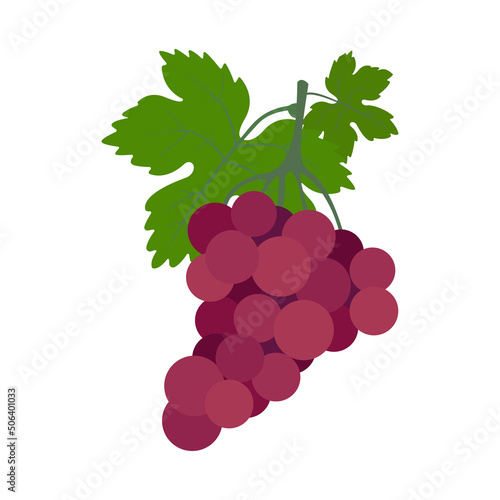 Grapes icon. Colorful fruits on a white background. Illustration. 