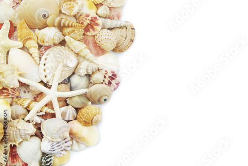 Starfish and seashells isolated on white background