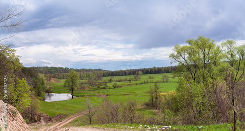 A beautiful lonely tree. With a large branched crown. Green fluffy branches with leaves. green meadows with fields. landscape. blue sky.park area.natural forest background. small depth of field. macro