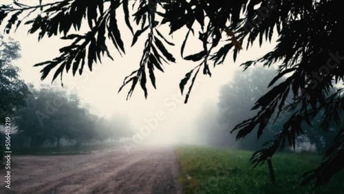 Blurry background with rainy and foggy at street. Trees branches swinging in wind. Leafy frame for misty landscape and falling rain, soft focus