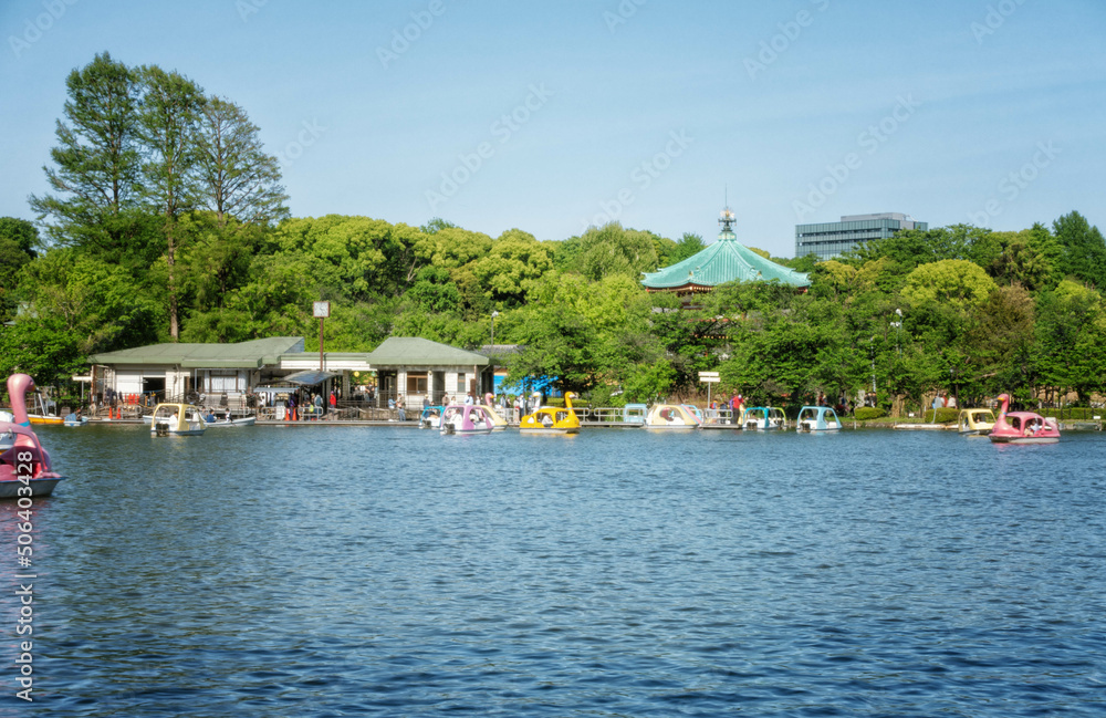 上野恩賜公園の不忍池に浮かぶスワンボートと不忍池弁天堂が見える初夏の風景