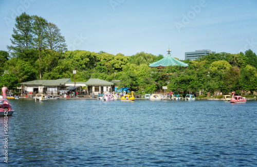 上野恩賜公園の不忍池に浮かぶスワンボートと不忍池弁天堂が見える初夏の風景