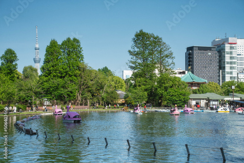 Wallpaper Mural 上野恩賜公園の不忍池に浮かぶスワンボートと東京スカイツリーが見える風景 Torontodigital.ca
