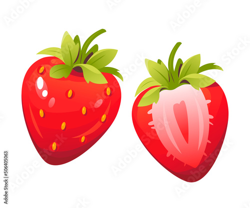 Vector illustration of strawberries. Sliced strawberries  Ripe berries