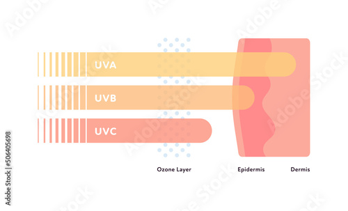 Uv rays and visible light healthcare infographic. Vector flat illustration. UVA, UVB, UVC arrow penetarate ozone layer and skin layers. Design for uv awareness month.