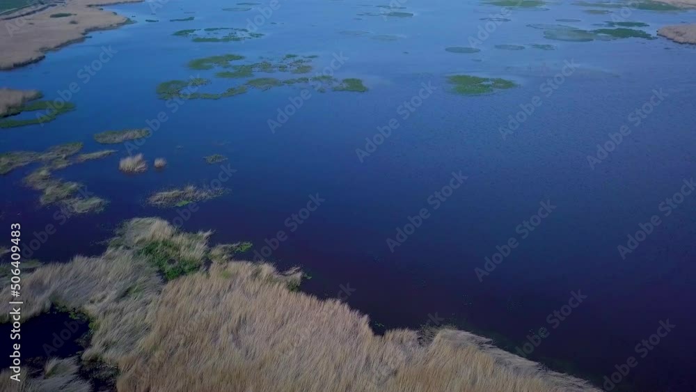 Aerial birdseye view of the lake overgrown with brown reeds and blue water, lake Liepaja, Latvia, sunny day, calm weather, wide angle drone shot moving forward Aerial birdseye view of the lake overgrown with brown reeds and blue water, lake Liepaja, Latvia, sunny day, calm weather, wide angle drone shot moving forward