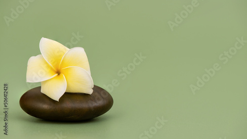 Zen stone and plumeria flower on green background.