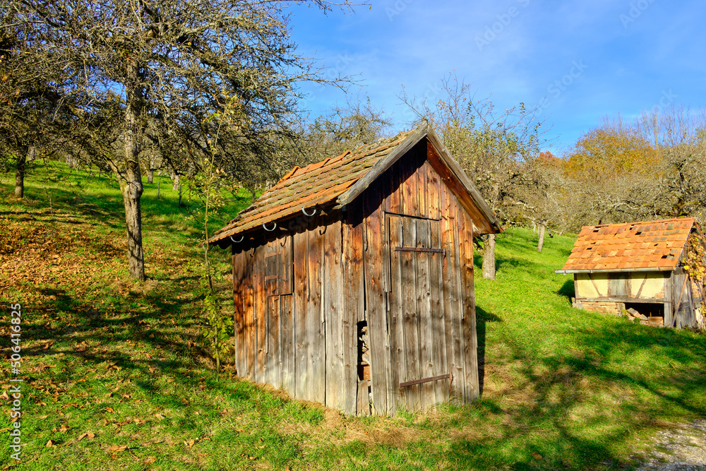 Orchard Meadow With Cabin In Autumn