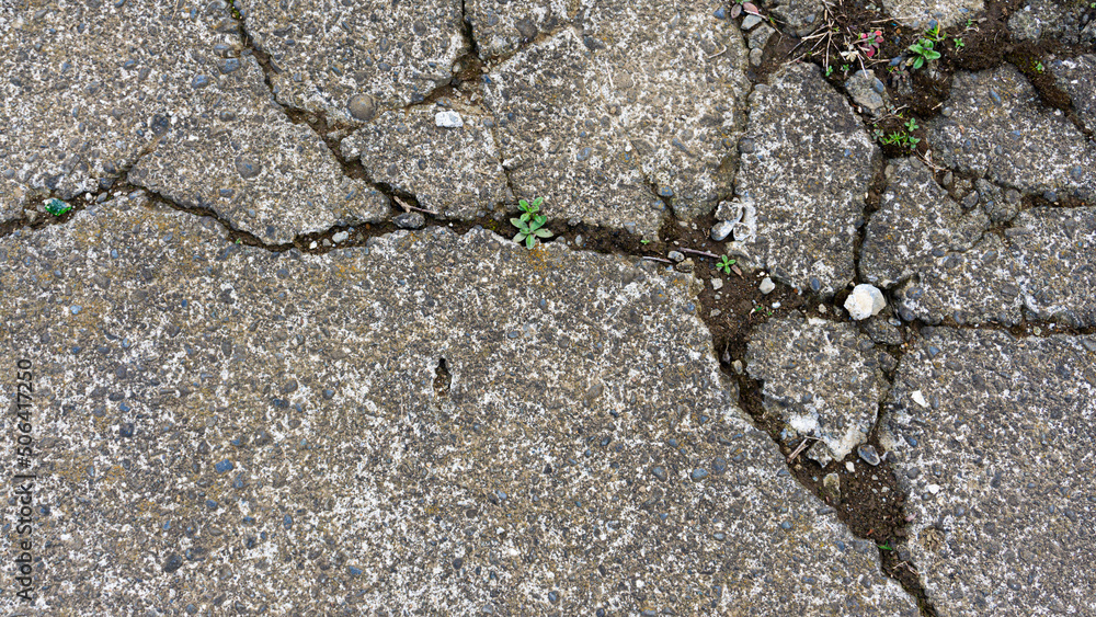 Obraz premium ひび割れたコンクリート