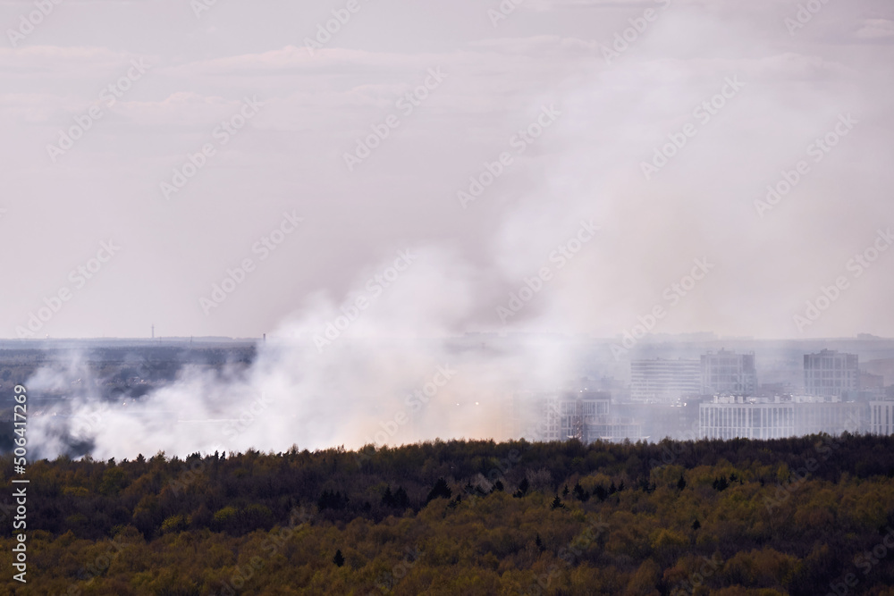 Smoke from the fire rises behind trees in the forest near city buildings