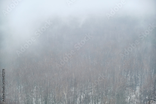 Evaporation of moisture over a winter forest with trees in the snow. Fog on snow-covered nature in a bleak landscape