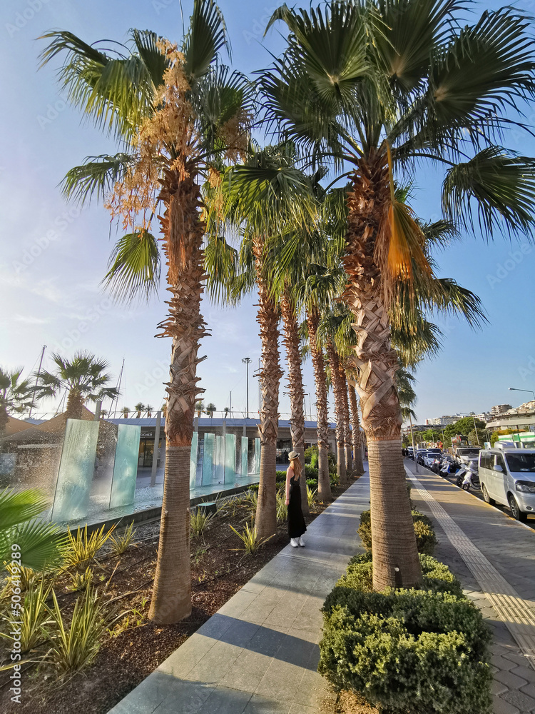 Fototapeta premium View of the walking road with palm trees in Kusadasi, Turkey. The girl is walking along the path.
