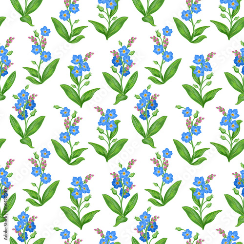 blue forget-me-not flowers on white background. summer floral seamless pattern, vector illustration