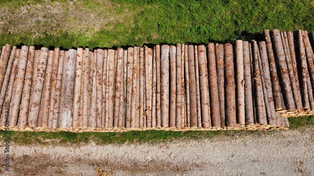 Fototapeta premium Pile of wood in the forest drone shot