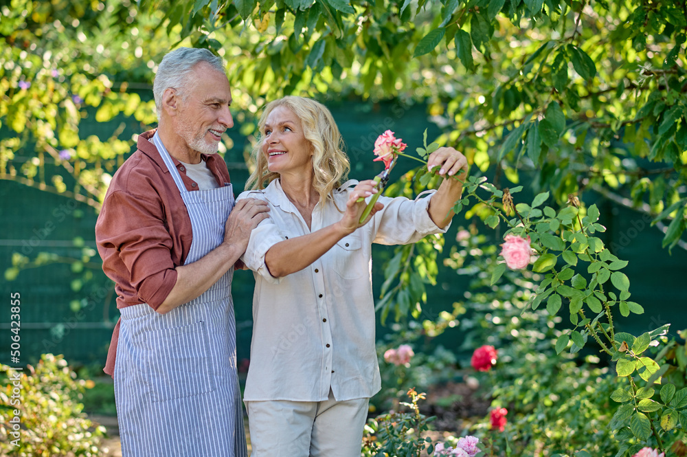Man hugging woman cutting rose in garden Man hugging woman cutting rose in garden