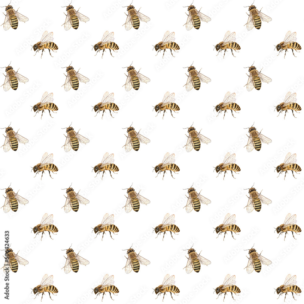 Seamless pattern with cute honey bees. Hand drawn watercolor illustration. Natural digital paper for beekeeper designs, prints, postcards, labels, textile, invitations, wrapping paper