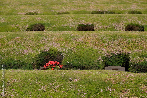 Costermano Friedhof photo