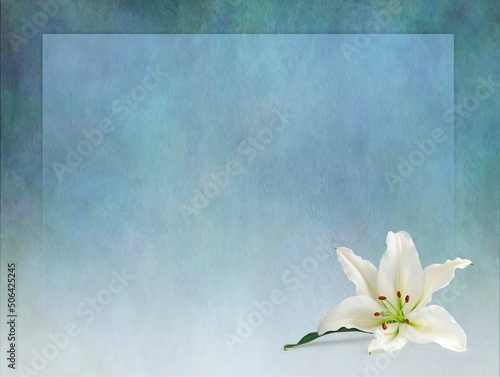 Photo White Lily border frame announcement invitation advert template background - rus