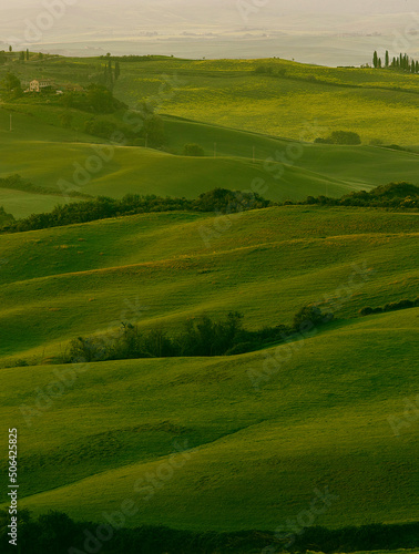 Landscape with cypresses in Tuscany - Italy II