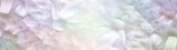 Beautiful pastel coloured angelic Feather background banner - wide symmetrical pattern of pale coloured small fluffy feathers ideal for a spiritual holistic Angel theme advert coupon invite or website