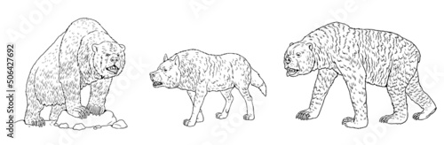 Prehistoric predators - cave bear, dire wolf and short-faced bear. Drawing with extinct predator. Coloring book with wolf and bear. photo