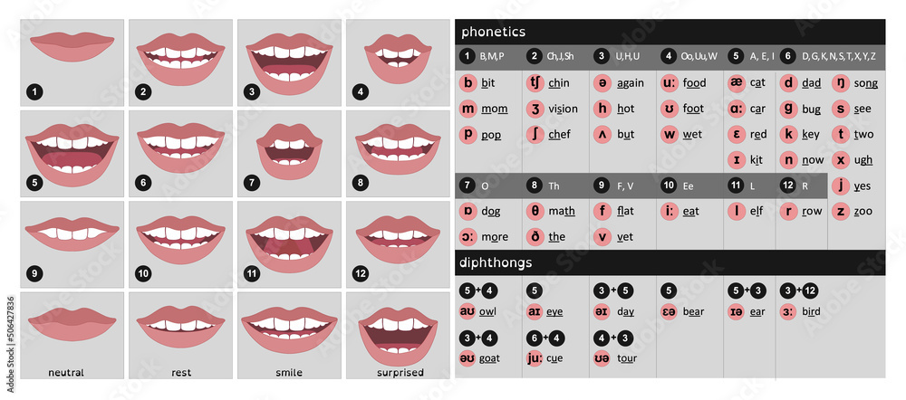 16 Cartoon Viseme Mouth Shapes - 2d animation visemes lip sync - English - obrazy, fototapety, plakaty 