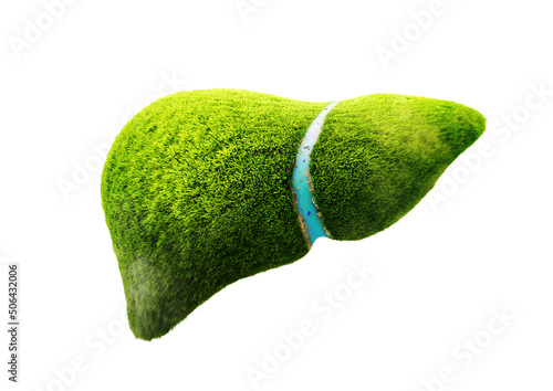 3D grass liver planet isolated
 (ID: 506432006)