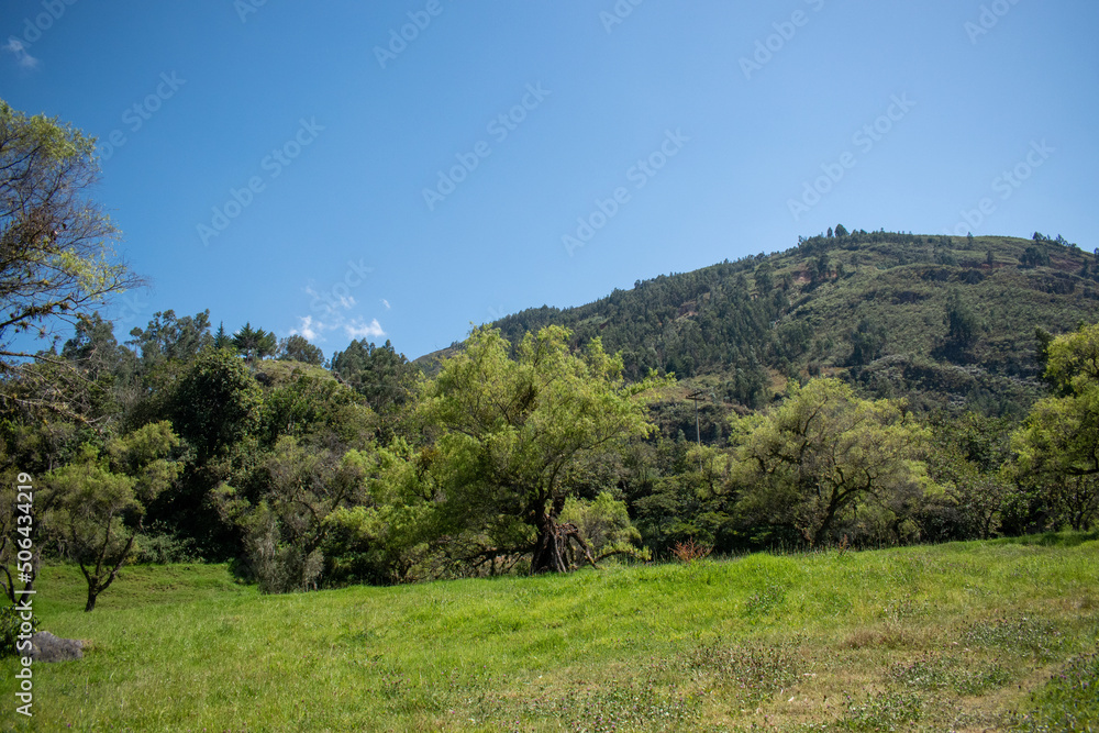 Pastizales en Limapampa, vista al cerro - San Marcos - Cajamarca