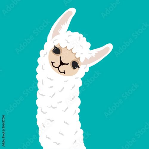 Cute lama alpaca head with face